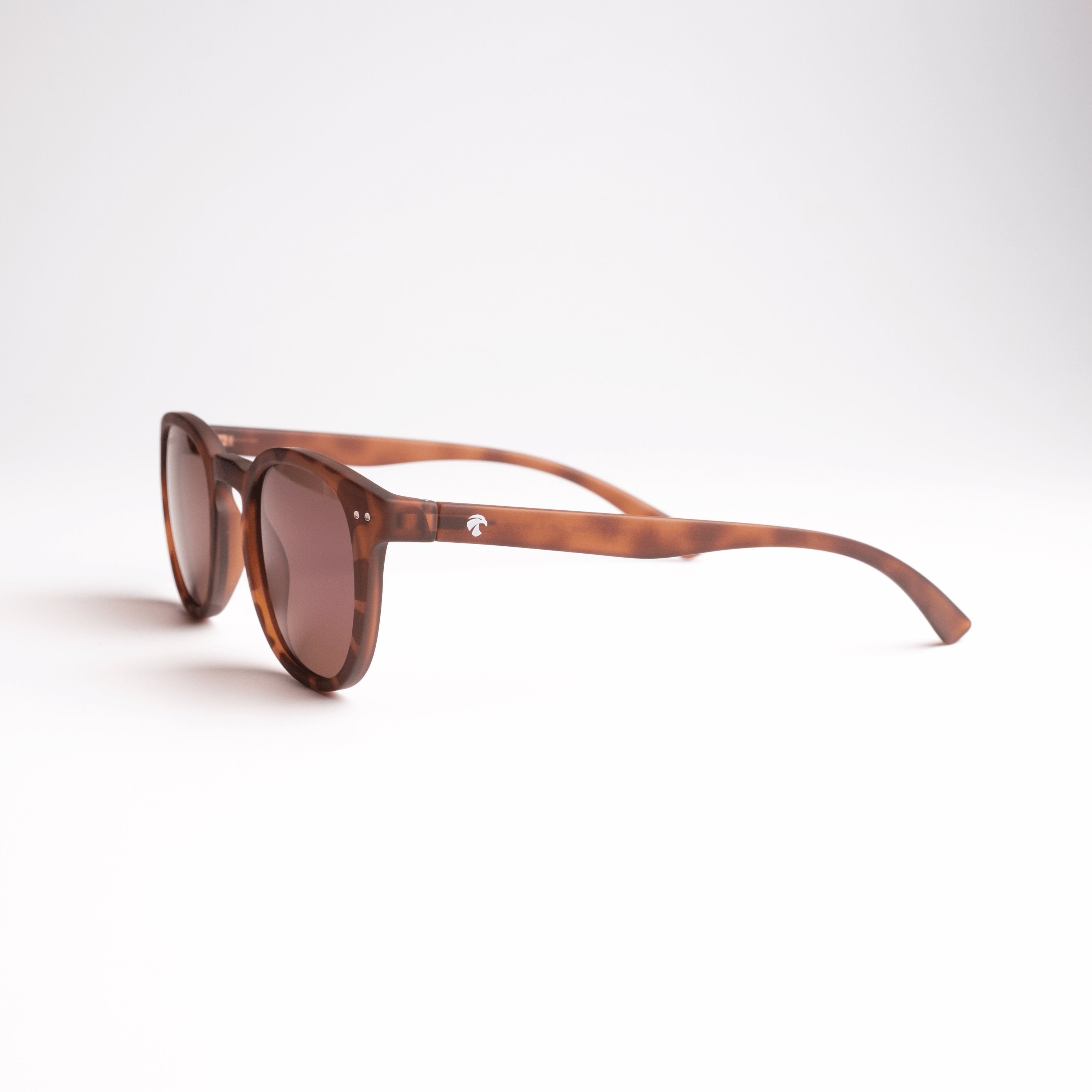 Lunettes de soleil retro Stockholm anti lumière bleue de couleur marron tortoise sur fond blanc, de profil, logo faucon blanc sur la branche